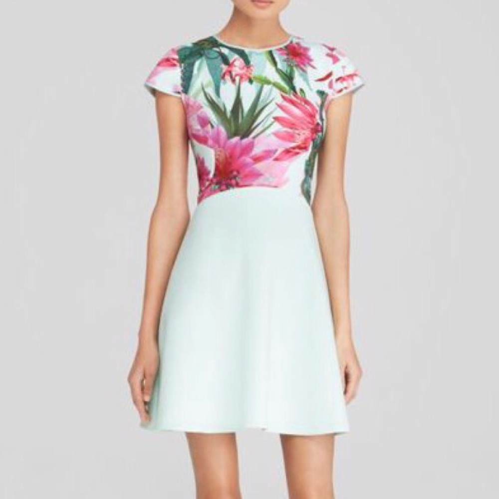 Ted Baker Anushia Chameleon Print Skater Dress